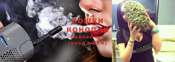 метадон Гусь-Хрустальный