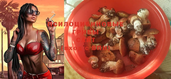 метадон Гусь-Хрустальный