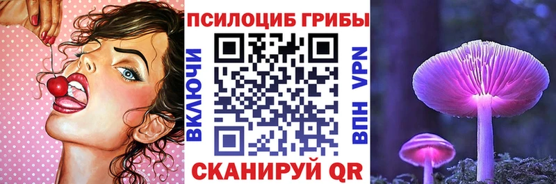 Псилоцибиновые грибы Psilocybine cubensis  Духовщина 